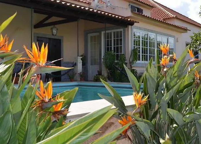 Quinta Do Covanco Affittacamere 3*