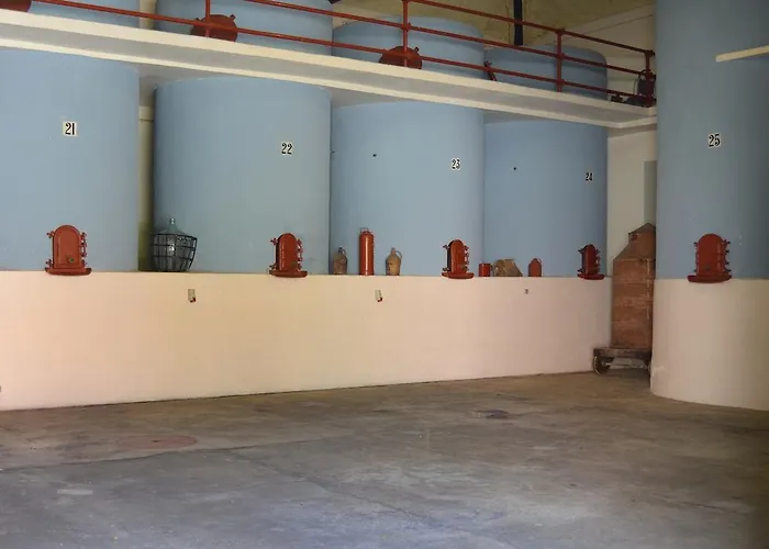 Quinta Do Covanco Affittacamere 3*